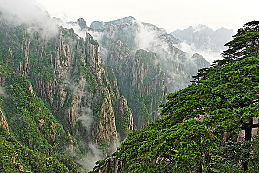 什么药人吃了会乖乖听话C1B8D97C5-18975
